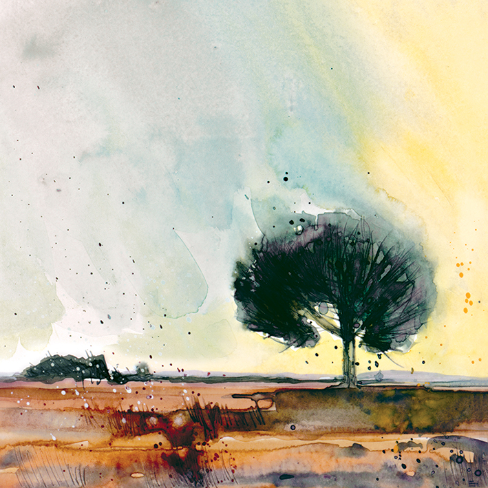 Simon Howden (New Forest Study) Canvas Print