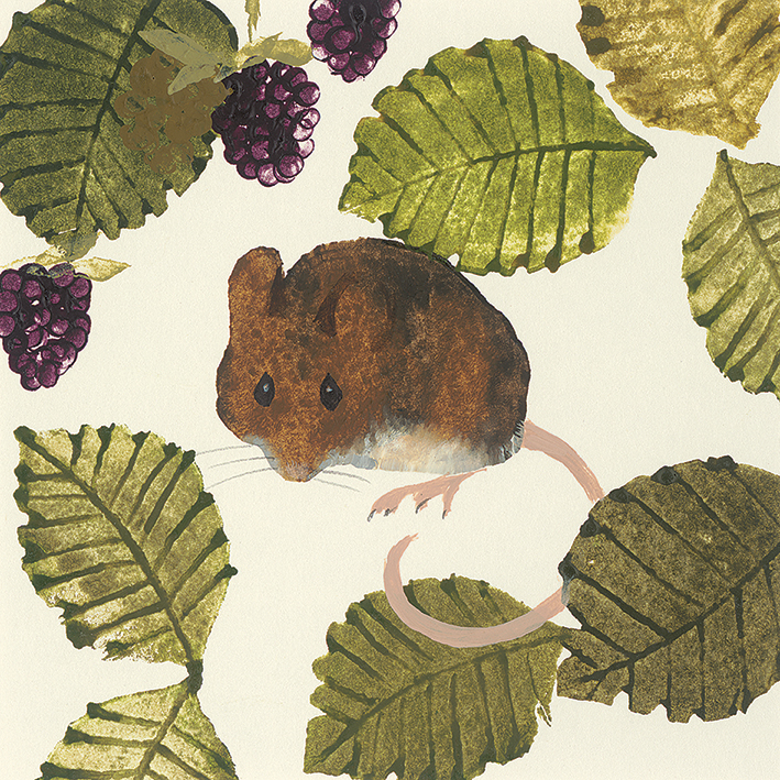Julia Burns Wood Mouse Canvas Print The Art Group 
