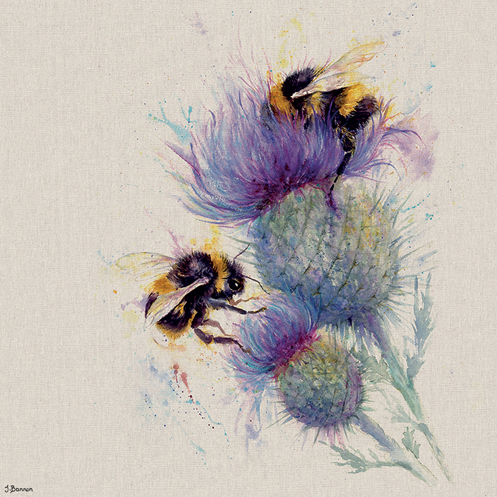Jane Bannon (Bees on Thistle) Canvas Print