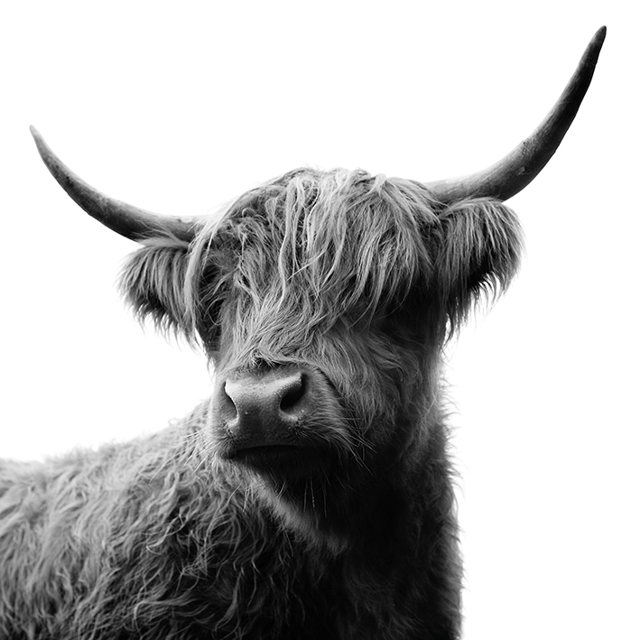 Ian Winstanley (Fergus) Canvas Prints