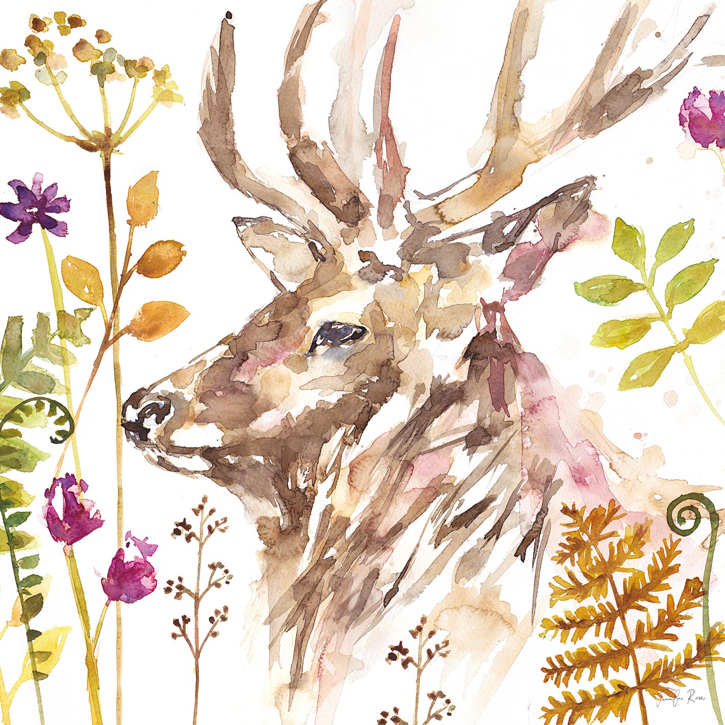Jennifer Rose (Stag) Canvas Prints