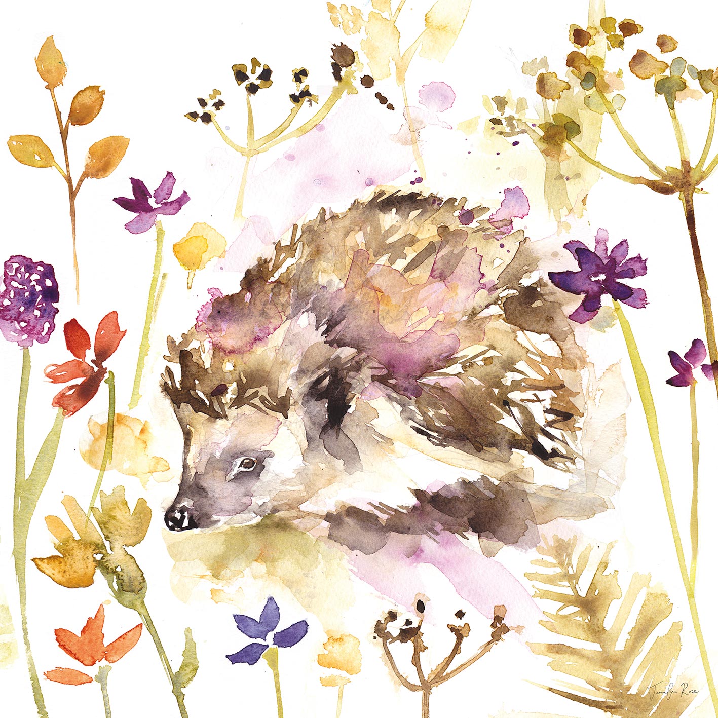 Jennifer Rose (Hedgehog) Canvas Print
