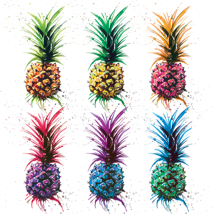 Sarah Stokes (Pineapple Rainbow) Canvas Print