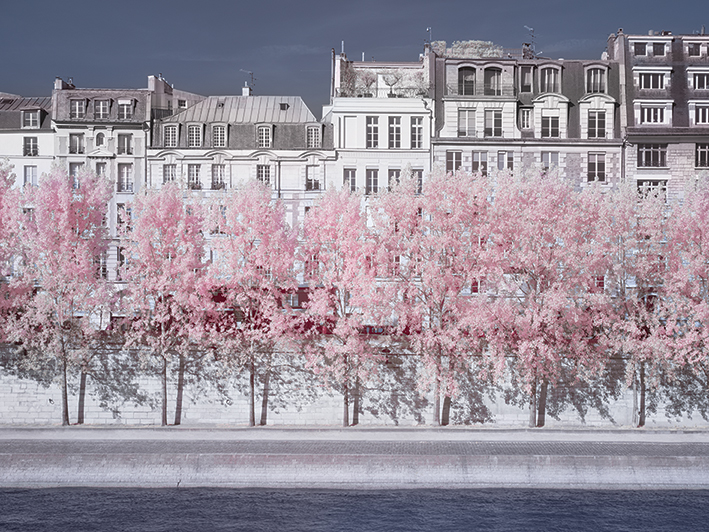 David Clapp (River Seine Infrared, Paris) Canvas Prints